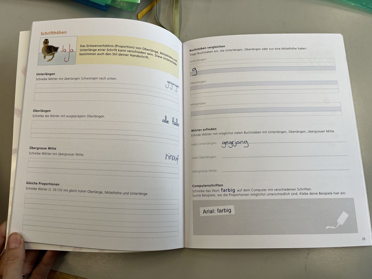 Libri: Schubi - Meine Handschrift – Nuovo (secondo la descrizione) da Escholzmatt venduto da Sarah_ 2