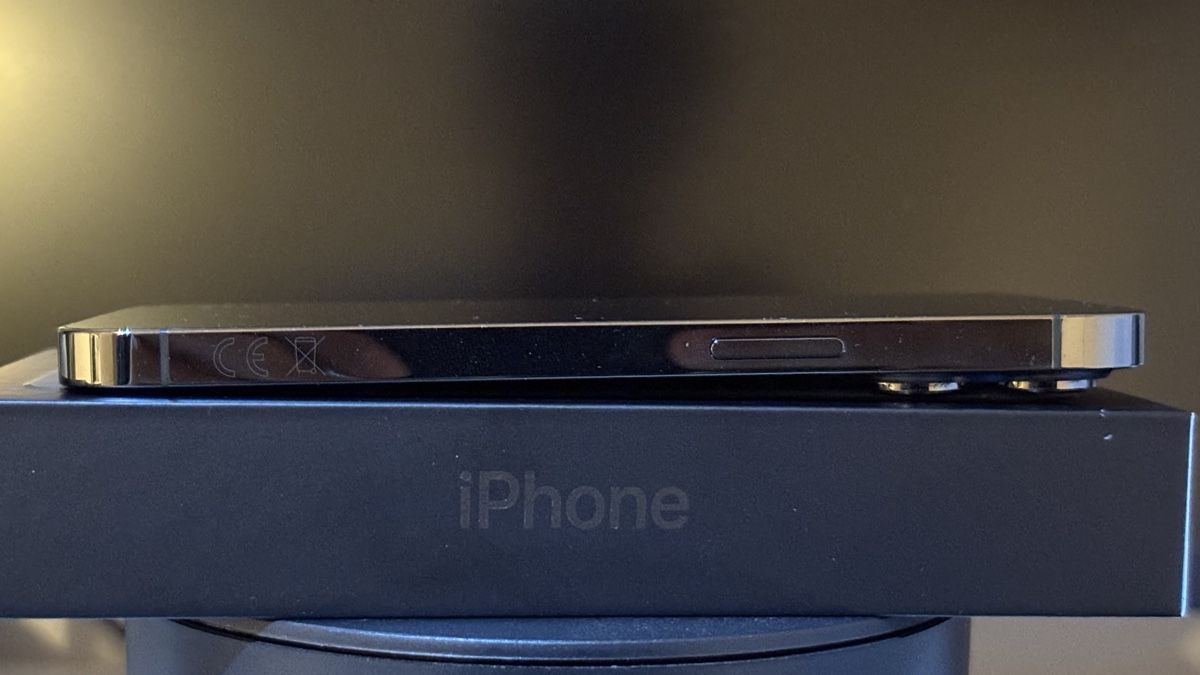 Apple Telefoni cellulari / Smartphones: iPhone 13 Pro Graphite 256GB - Top Zustand – Usato da Hedingen venduto da mor_k2q8 3