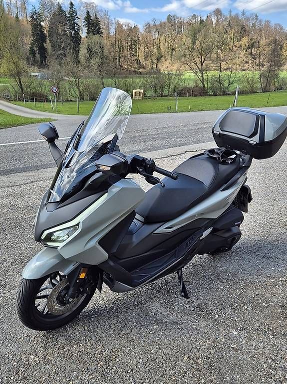 Honda Scooter: Neuwertiger Roller – Usato da Niederhasli venduto da 4zwerglis 4