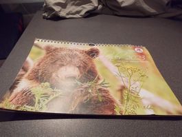 Kalender 2023, Vier Pfoten