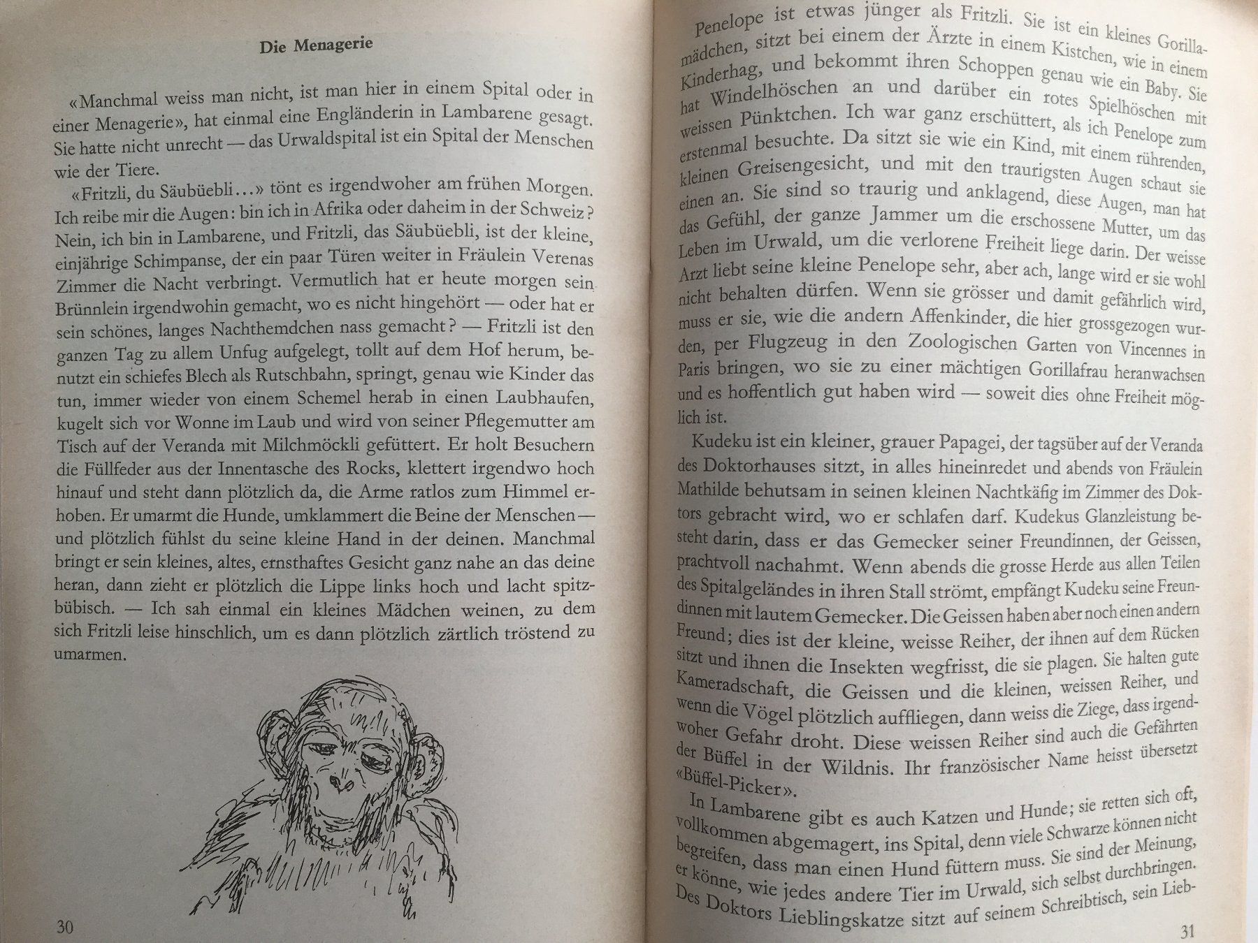 Libri: Im Urwald von Lambarene – Usato da Grenchen venduto da Kogi7 4