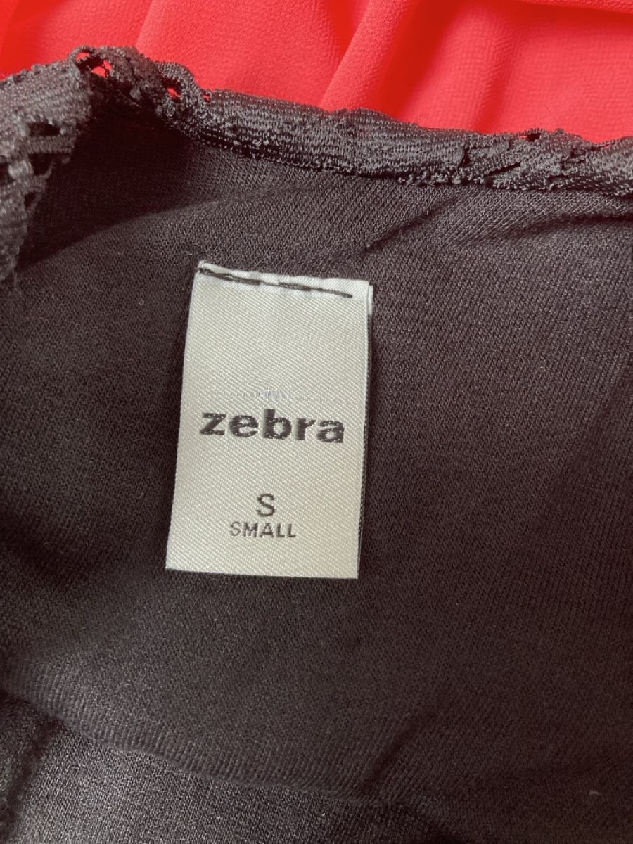 Zebra Kleider: Kleid – Gebraucht aus Oberbipp von Campanula 2