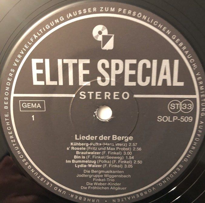 Dischi in vinile: Lieder der Berge (LP) – Usato da Grüningen venduto da azulmarron 2