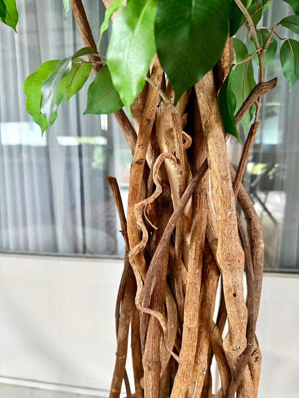 Piante & sementi: Künstlicher Baum - Kunstpflanze - Kunstbaum – Usato da Meinisberg venduto da L.A1 4