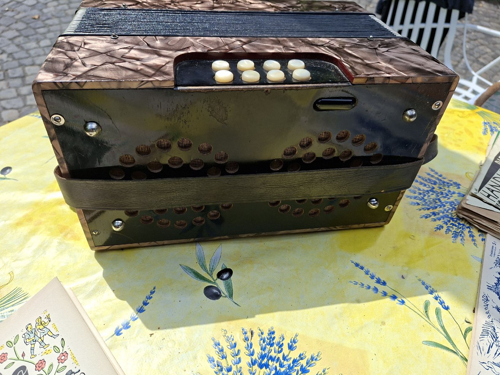 Hohner Strumenti musicali: Hohner Handorgel mit Noten und Tasche – Difettoso da Gasel venduto da cher01 3