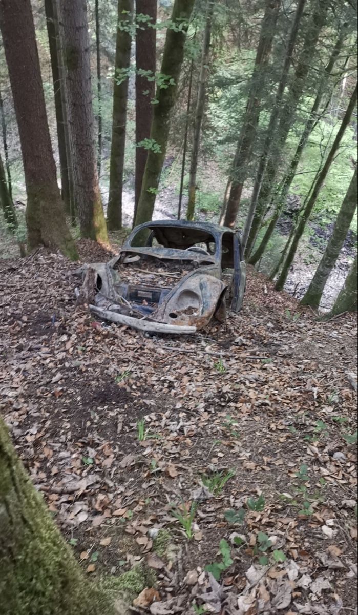 VW Autres accessoires p. véhicule: VW käfer brezel wald fund  – D'occasion à Reiden par luftkraft 2