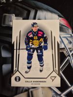 Calle Andersson HC Davos Playoffs 2024/25 Sportzoo