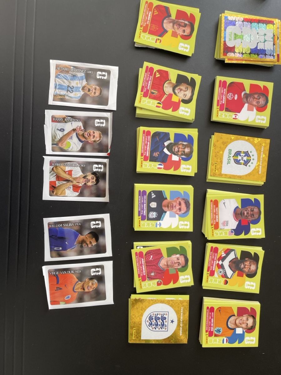 Panini Cartes à collectionner: Panini WM 2026 290 Sticker – D'occasion à St. Gallen par bie_kpz9 1