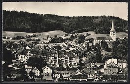 Burgdorf, Ortspanorama mit Blick zur Kir