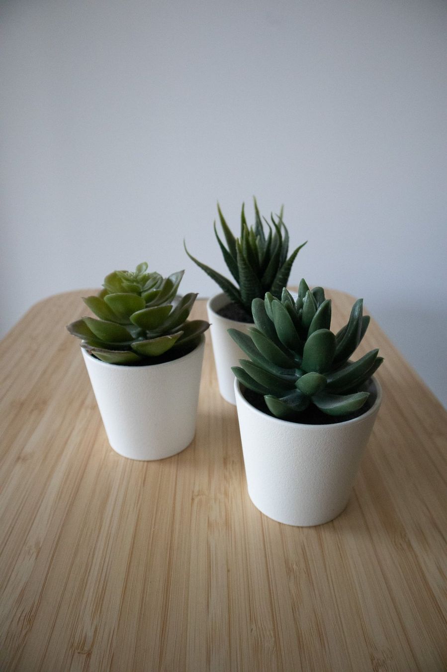 Ikea Tutte le decorazioni: Ikea fake Pflanzen klein – Usato da Fislisbach venduto da AllyElgorb
