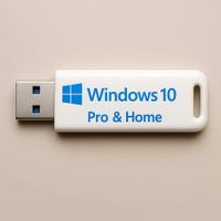 Windows 10 Pro & Home USB-Stick  DE/FR/IT/EN