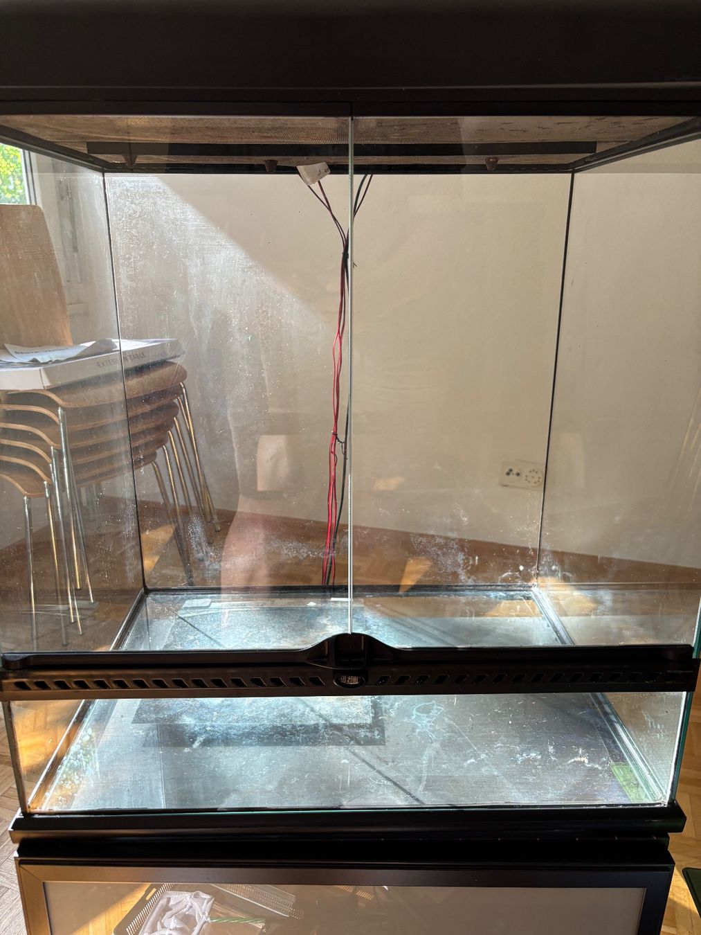 Exo terra Terrario: Terrarium ExoTerra mit div. Zubehör – Usato da Basel venduto da bho_m8z8 1