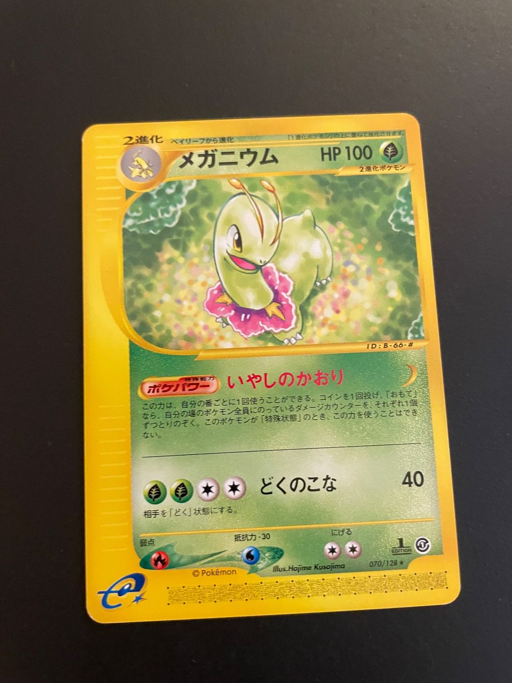 Pokémon Sammelbilder & Trading cards: Meganium 070/128 Non Holo E Series 1st Edition – Gebraucht aus Zürich von pokemon_cards