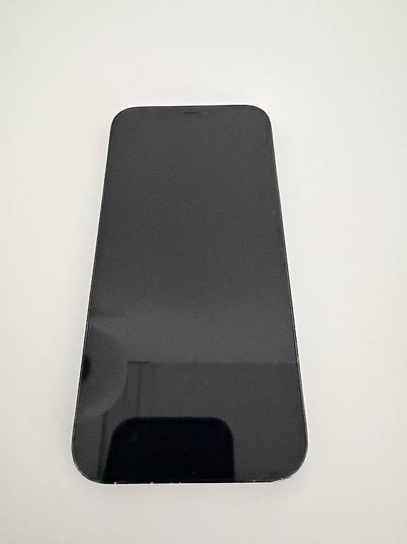 Apple Telefoni cellulari / Smartphones: iPhone 13 Pro Max 256 GB bleu – Usato da Lausanne venduto da odelafon