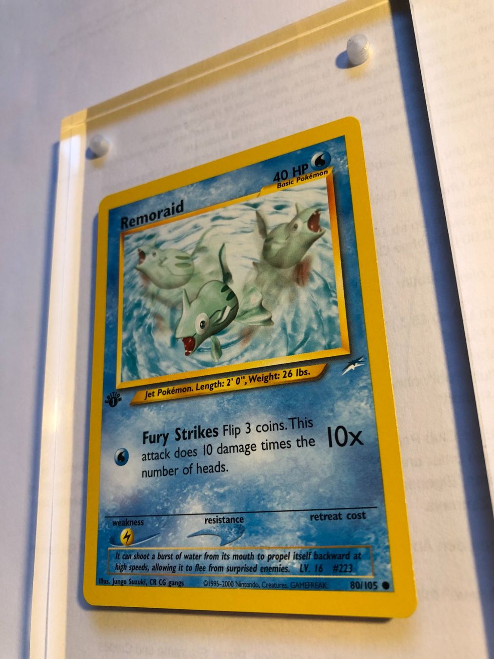 Carte collezionabili: Remoraid 1st Neo Destiny - MINT - ab 1.- – Usato da Giubiasco venduto da dan_pr8b 2