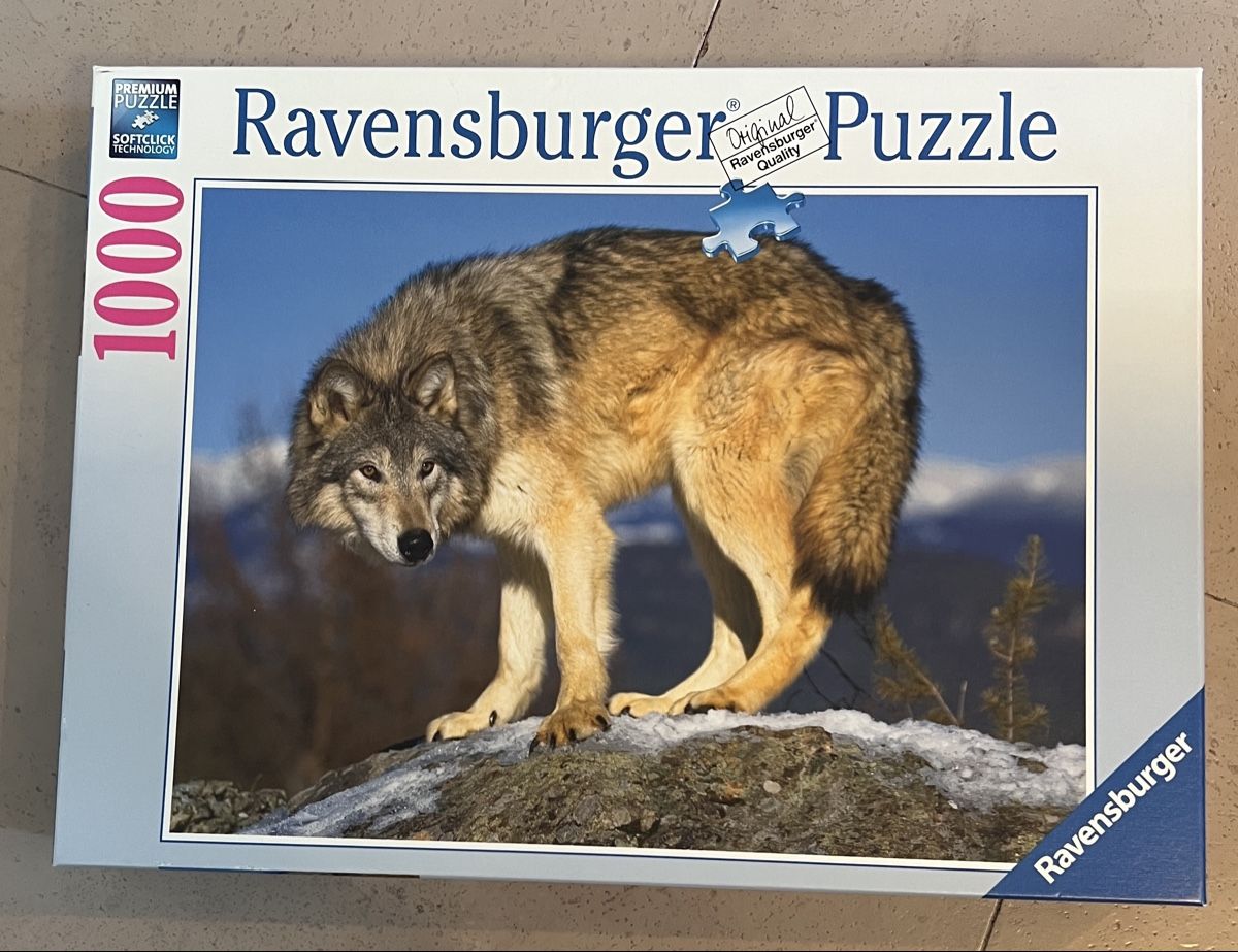 Ravensburger Puzzle: Ravensburger Puzzle Wolf 1000 Teile – Nuovo (secondo la descrizione) da Büttikon AG venduto da Jahacymipa.01