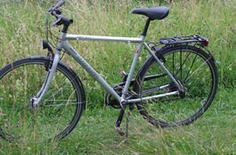 Herren- Velo Mondia Light City  guter Zustand