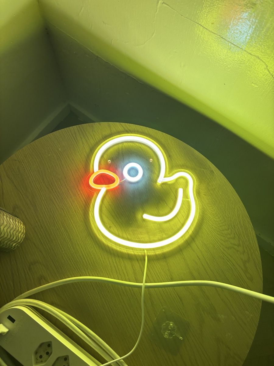 Tutte le decorazioni: Lampe néon LED canard jaune – Usato da La Chaux-de-Fonds venduto da DANIELA19961996 1