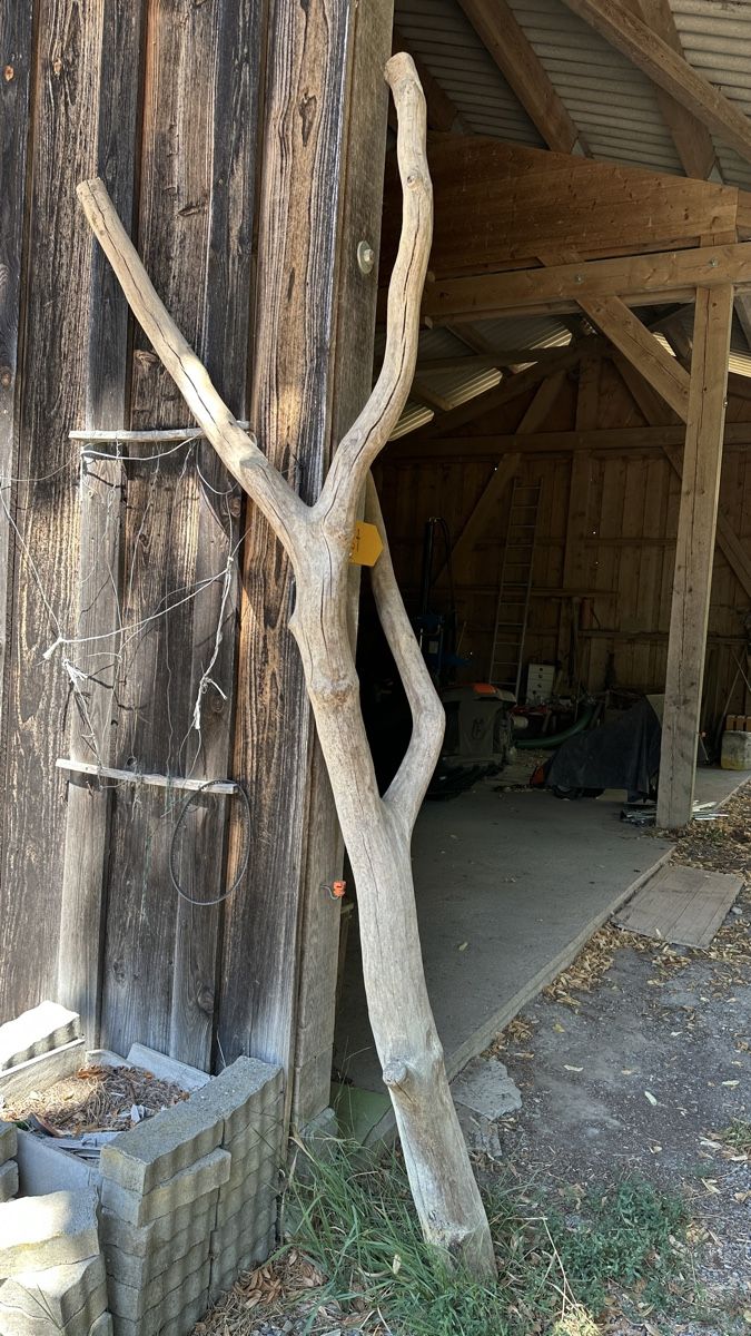 Katzenbaum - Kratzbaum: Kratzbaum – Gebraucht aus Mittelhäusern von mammut78