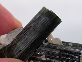Terminated Green Cap Tourmalines AstakNaala, Pakistan