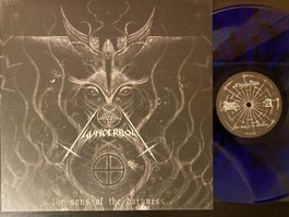 Thunderbolt – The Sons Of The Darkness [LP DE 2009]
