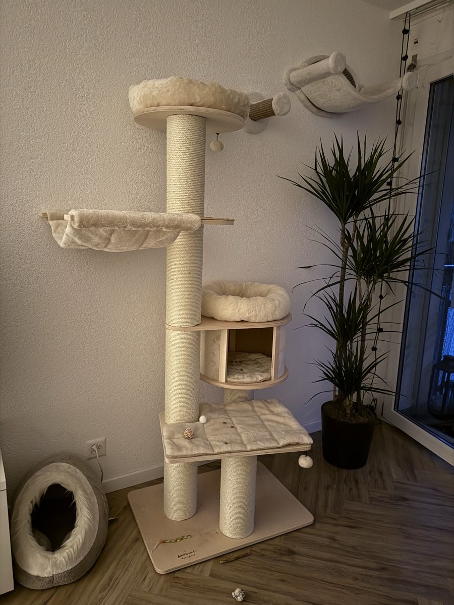 Katzenbaum - Kratzbaum: Katzenbaum – Neu und originalverpackt aus Winterthur von Miinaronja