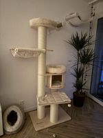 Katzenbaum