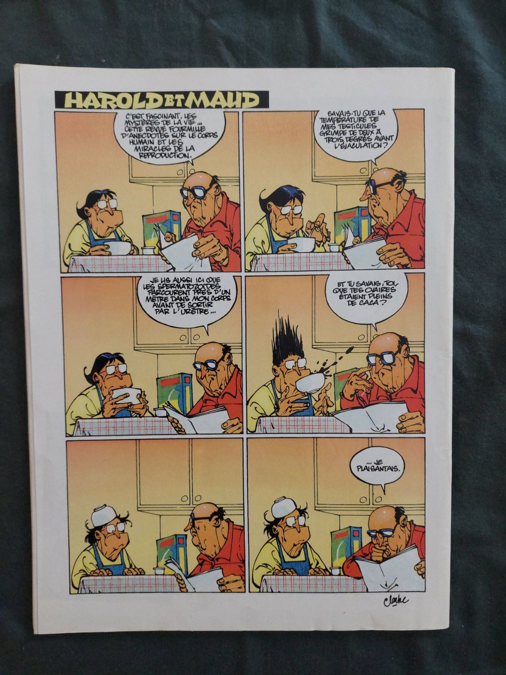 Fumetti: Fluide Glacial No 294 Déc. 2000 TBE – Usato da Genève venduto da Blu_BD 1