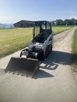 Bobcat 
