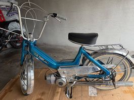 Puch Maxi-N neu lackiert & total revidiert / Top Zustand 