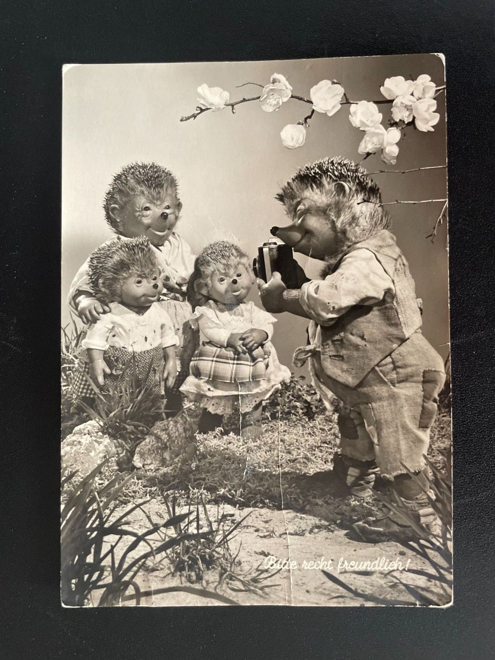 Cartoline postali: AK Mecki - Bitte recht freundlich - Nr. 21 – Difettoso da Thal venduto da Danny82
