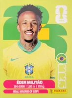 Panini FIFA World Cup BRA 5