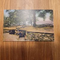 Carte Postale AK Militär