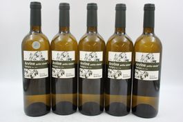 5x  Arvine Petite Rebelle 2024 (26073060Z)