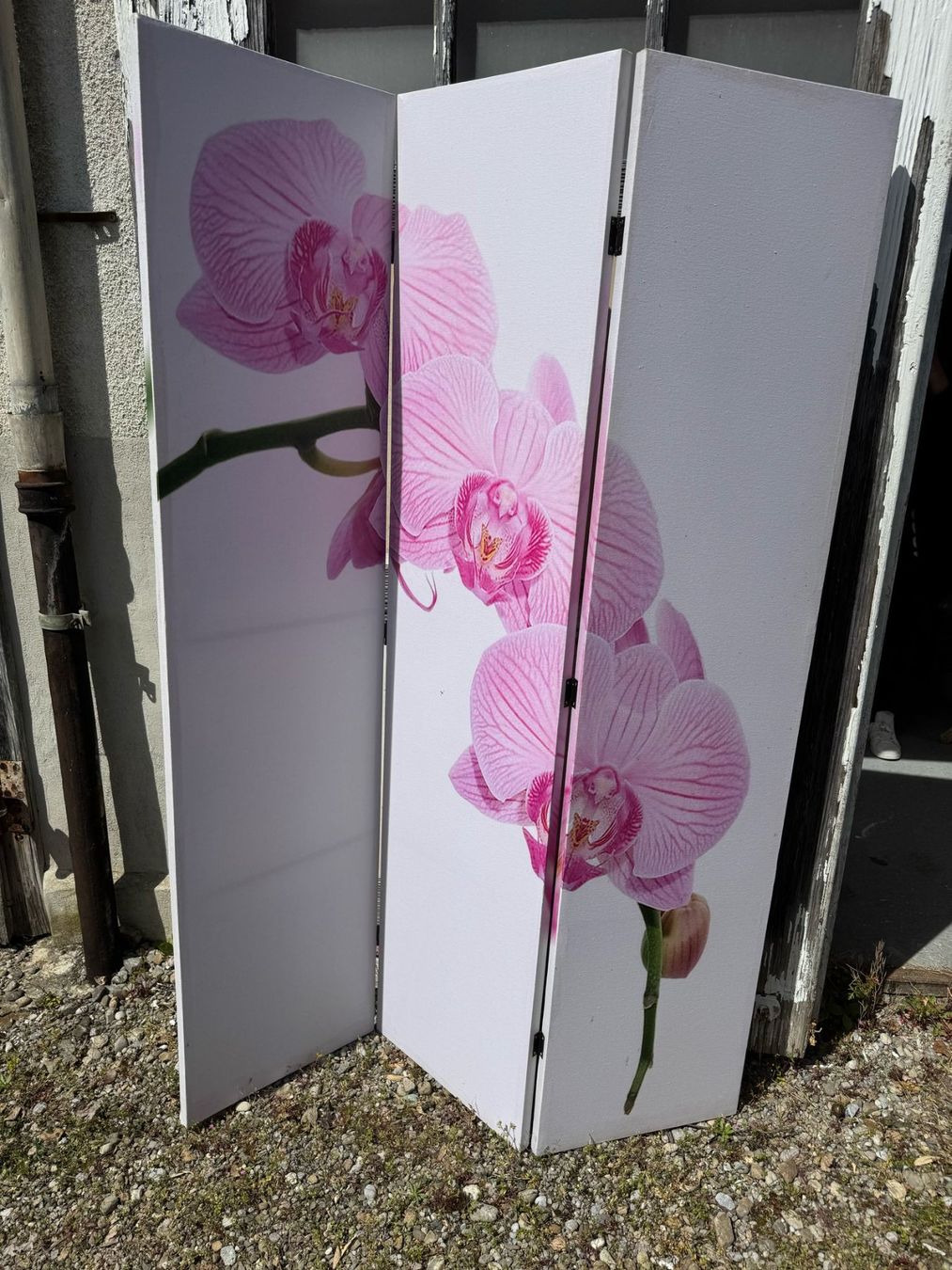 Paraventi: Paravent Japandistile – Usato da Wohlen AG venduto da homecollectivech 3