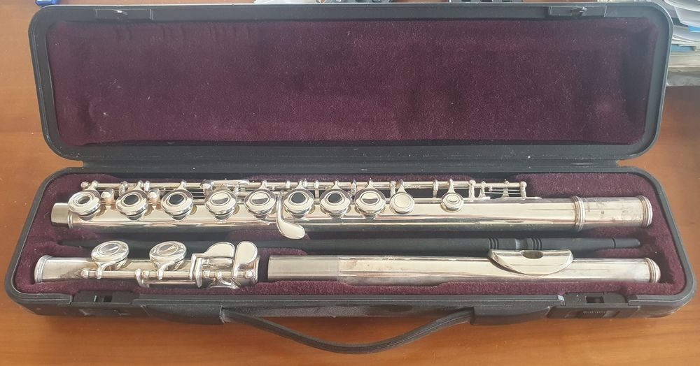 Flûte traversière Yamaha YFL281 Kaufen auf Ricardo