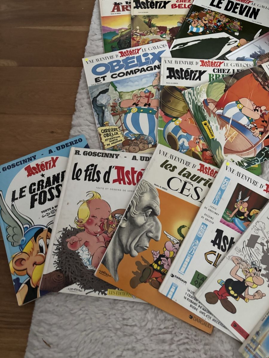 Fumetti: Asterix Comics  14 Stk guter Zustand – Usato da Nottwil venduto da Mountainbiker63 2
