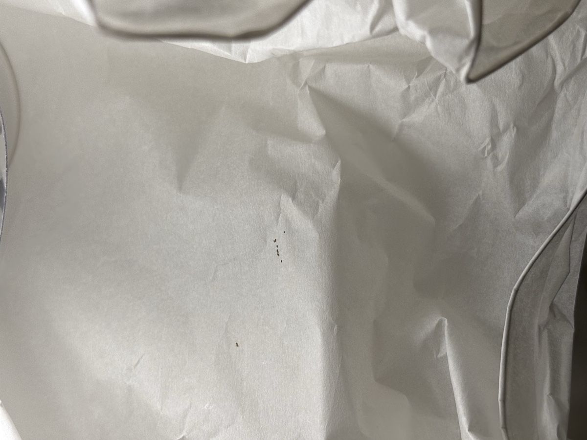 Ikea Paralumi: Lampenschirm – Usato da Bern venduto da Melodie0812 4