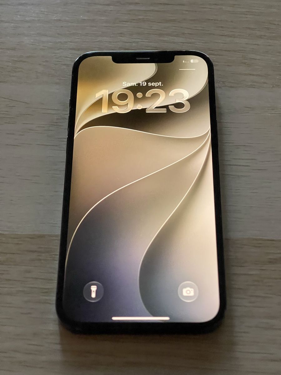 Apple Portables: IPhone 12 Pro Max 256gb Akku 86% – D'occasion à Biel/Bienne par Pro.max 3