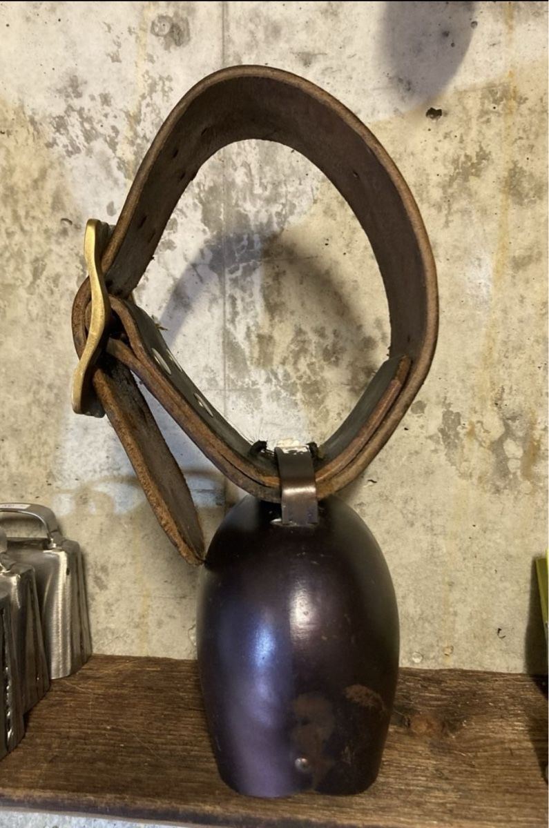 Campanacci mucche: varone permana Nr. 7 – Usato da Stein AR venduto da sch_67pf 1