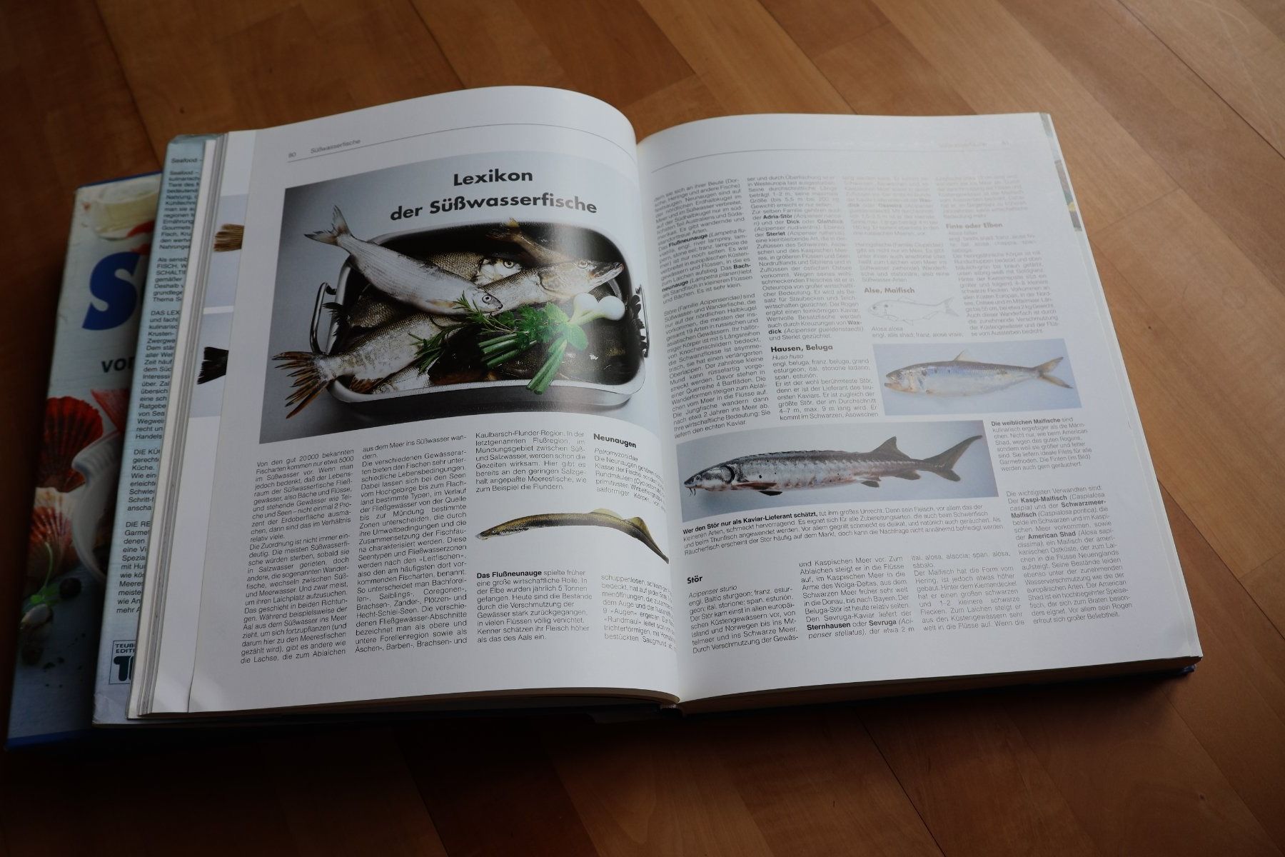 Bücher: Seafood – Gebraucht aus Effretikon von Freedom2025 1