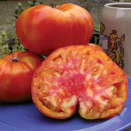 Piante & sementi: 30 Samen OLD GERMAN Tomate Alte Sorte – Nuovo (secondo la descrizione) da Ehrendingen venduto da VerveinaSamen 5