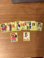 Lot 25 cartes panini