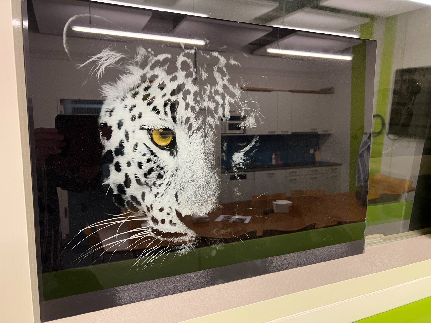 Foto & Immagini: Bild Leopard – Usato da Reigoldswil venduto da Gora5 1