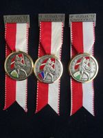 Gruppenmeisterschaft 1977 - 1978 - 1979 Banner TI - VD - TG