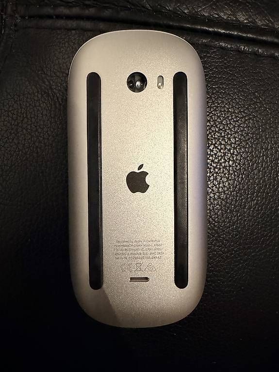 Mouse: Apple Magic Mouse (USB-C) – Usato da Genève venduto da tam_t5l2 2