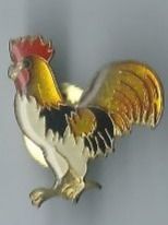 Placchette & Badge: Hahn PIN – Usato da Zürich venduto da t24_de