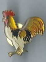 Hahn PIN