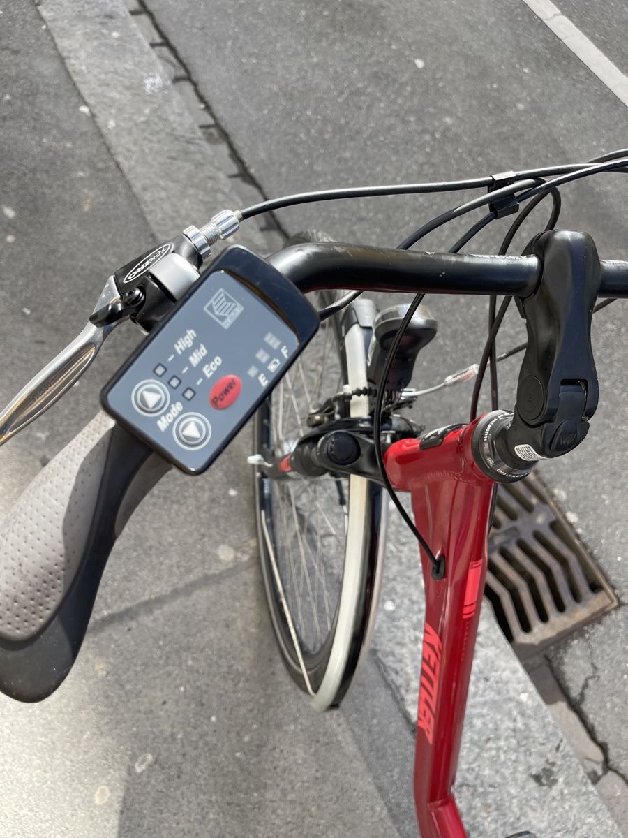 Kettler Biciclette: Kettler Ebike Panasonic Antrieb – Usato da Zürich venduto da Buenzli_Batteries 6