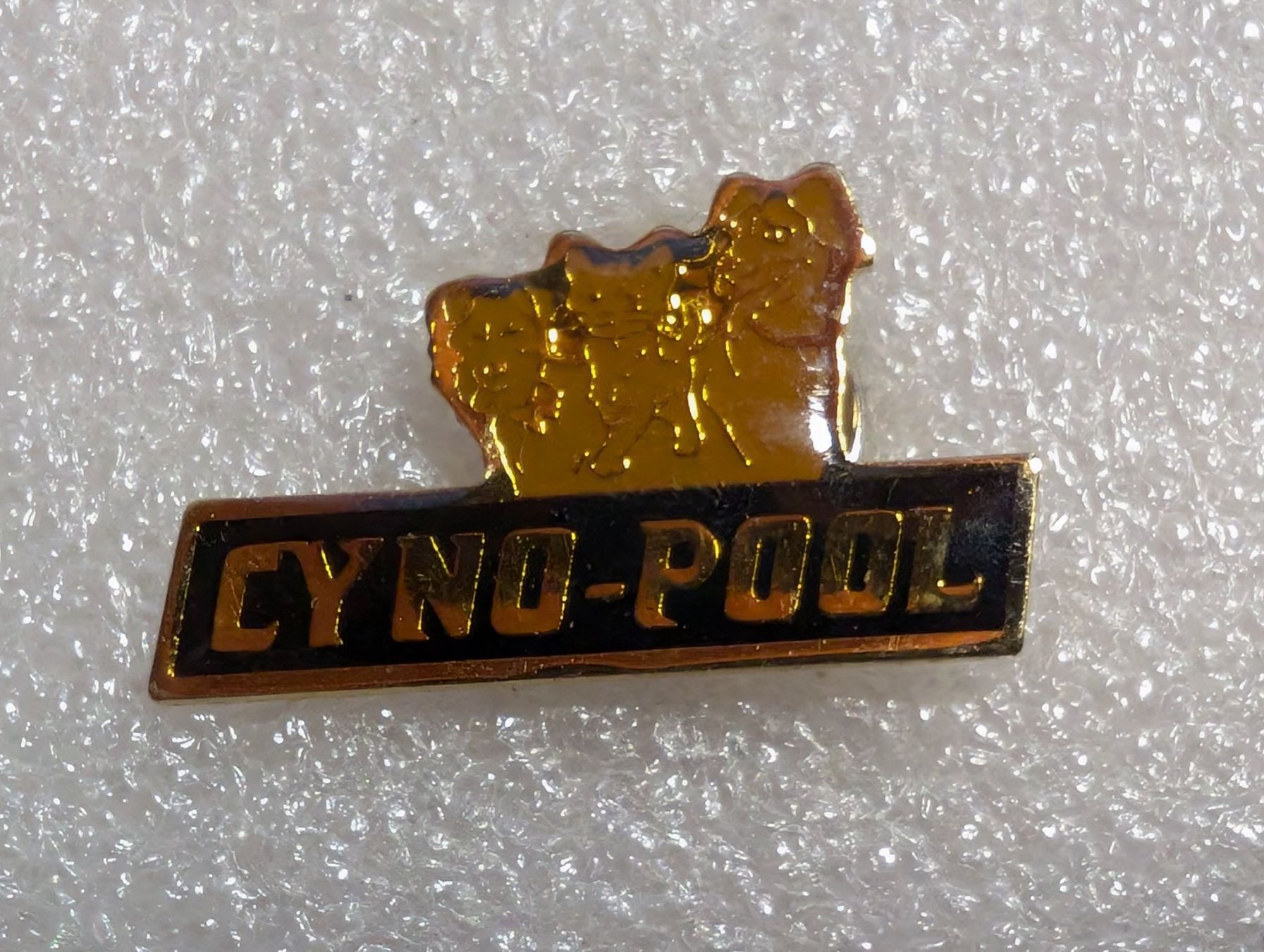 Placchette & Badge: Ansteckpin 290: Cyno Pool – Usato da Oppligen venduto da Pin-Fall-Shop